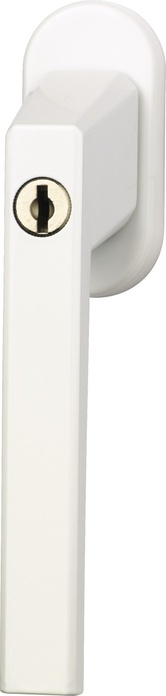 ABUS FG110