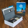 BOOK SAFE 2253